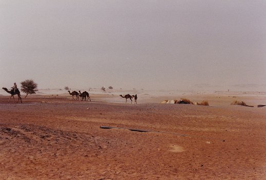 Mission 337 43 56 - Niger 1992 1 région de Termit ${"Fichier: "|fileName} © André Mariage