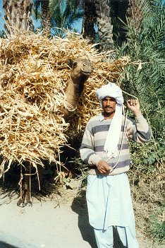 Pakistan en janvier-février 1995 ${"Fichier: "|fileName} © Christian Bois
